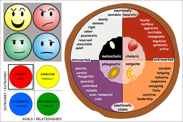 Criteriile de diagnosticare a temperamentelor, Caracterizarea temperamentelor (Colericul, Sangvinicul, Flegmaticul, Melancolicul)